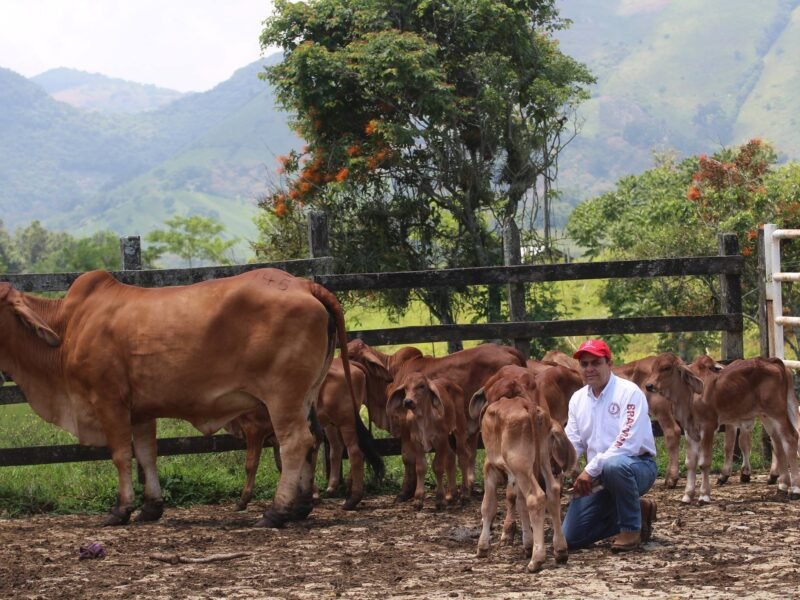 Rancho La Marina estará presente en exposición ganadera Ylang Ylang 2024